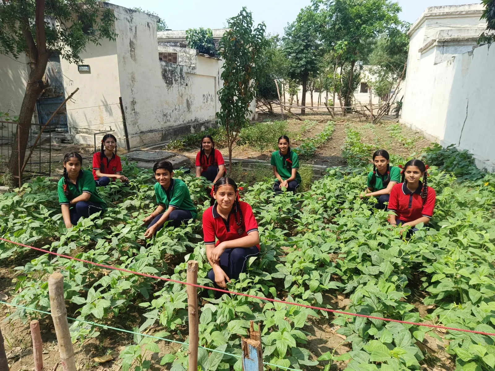 Farm to School