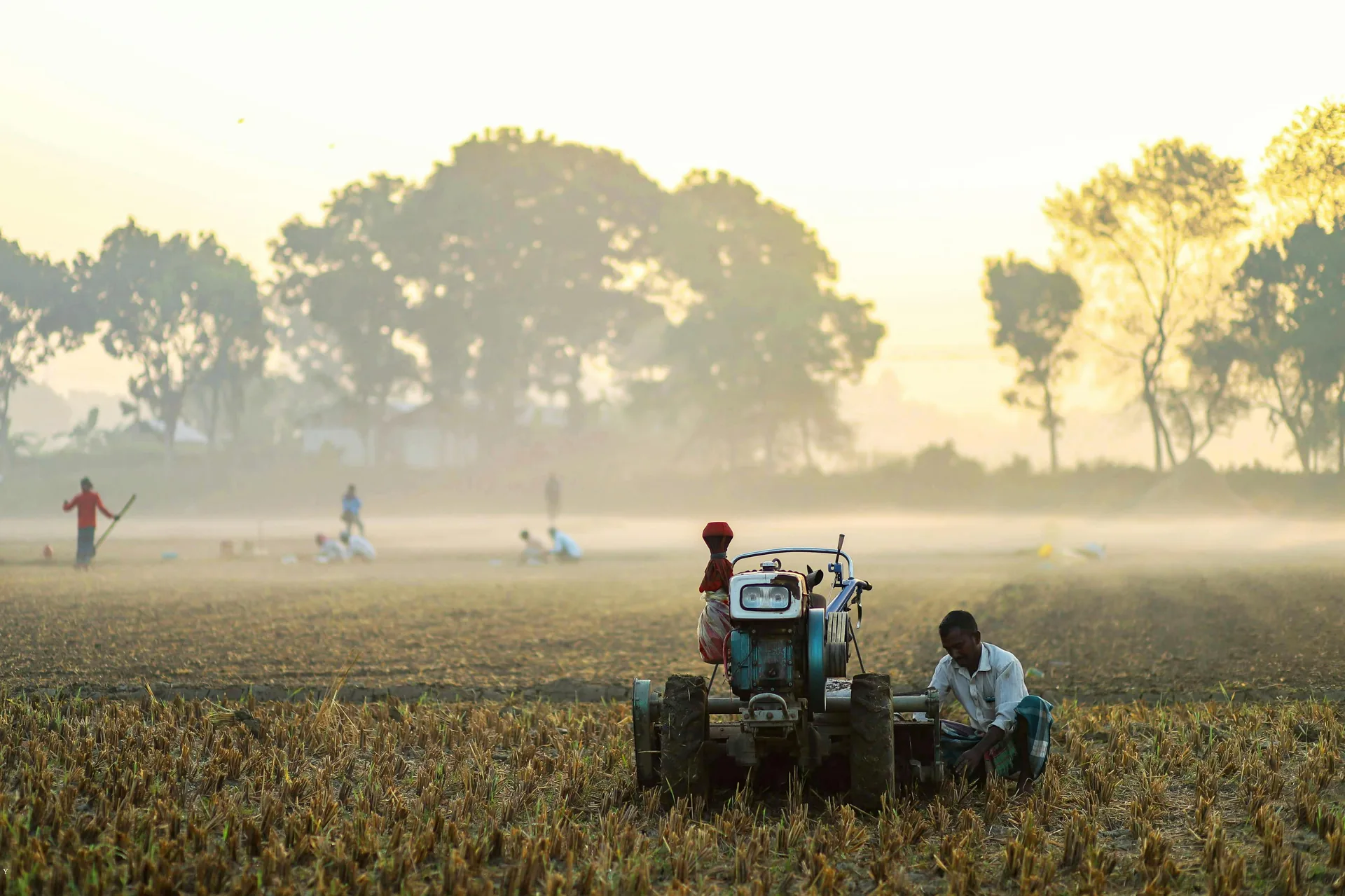Corporate Farming